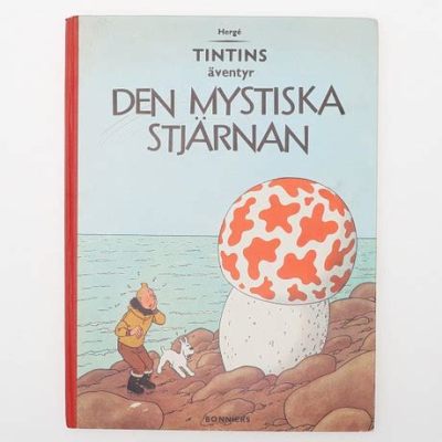 Den mystiska fisken - En berättelse om öden, list och den underbara världen under ytan