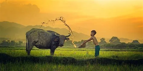  The Water Buffalo's Revenge - A Vietnamese Folk Tale About Justice and Resourcefulness!